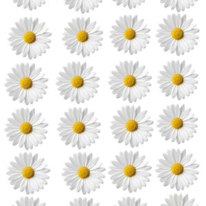 Vafe comestibile, flori, margarete