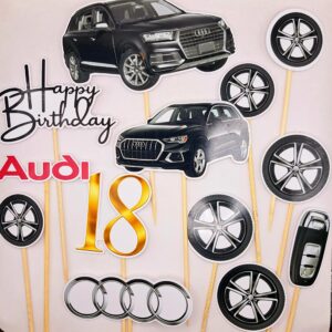 Toper, Audi, 18 ani, Roti, prevazut cu bete de sustinere